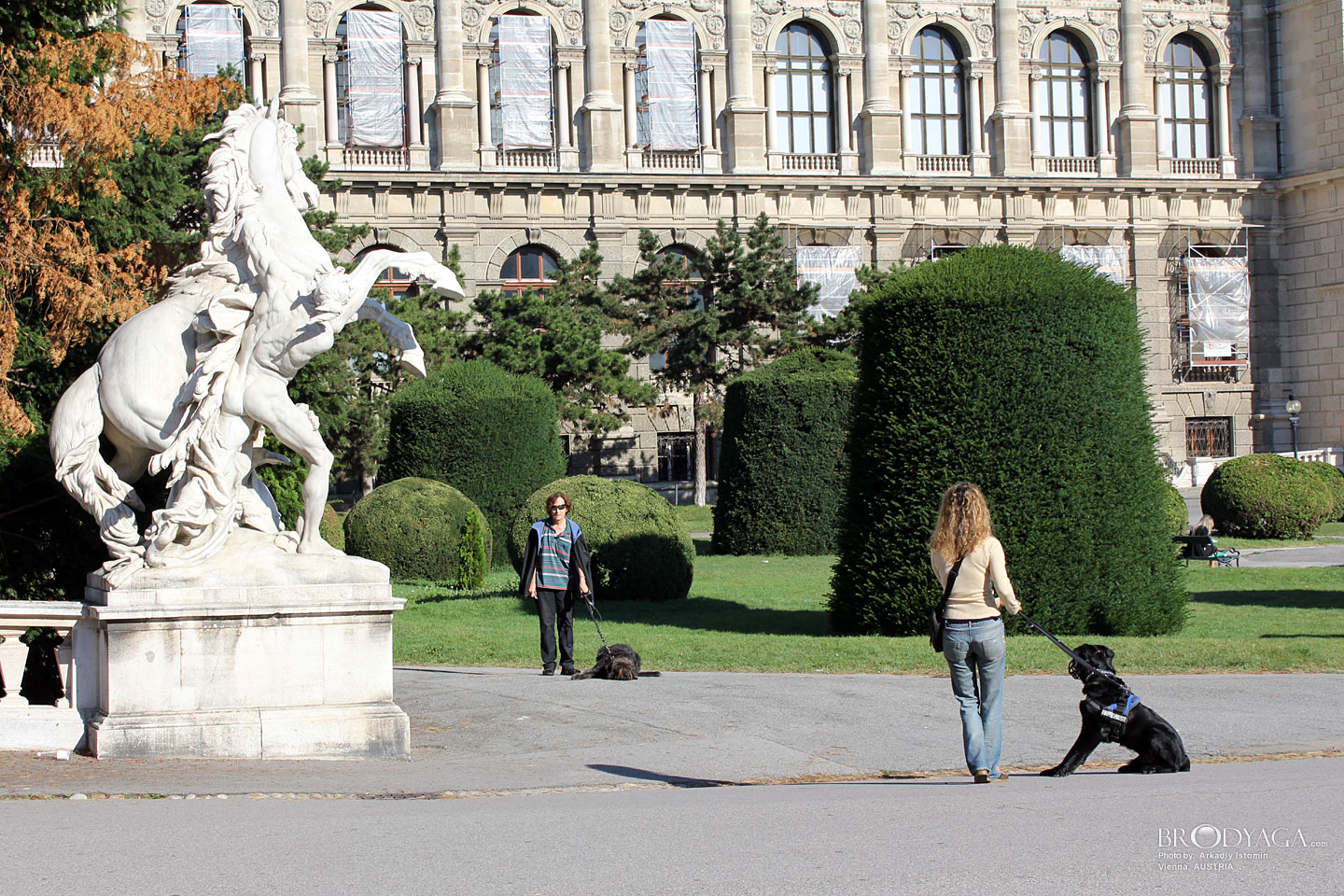 Vienna